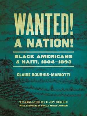cover image of Wanted! a Nation!